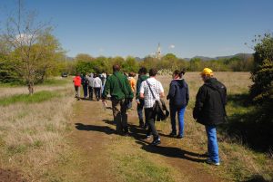 2012-04-21 Visita (1)