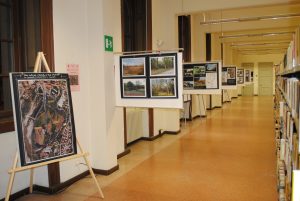 2013-11-13 Mostra biblioteca (2)